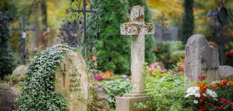 Friedhof
