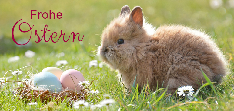 Häschen auf der Wiese neben einem Osternest