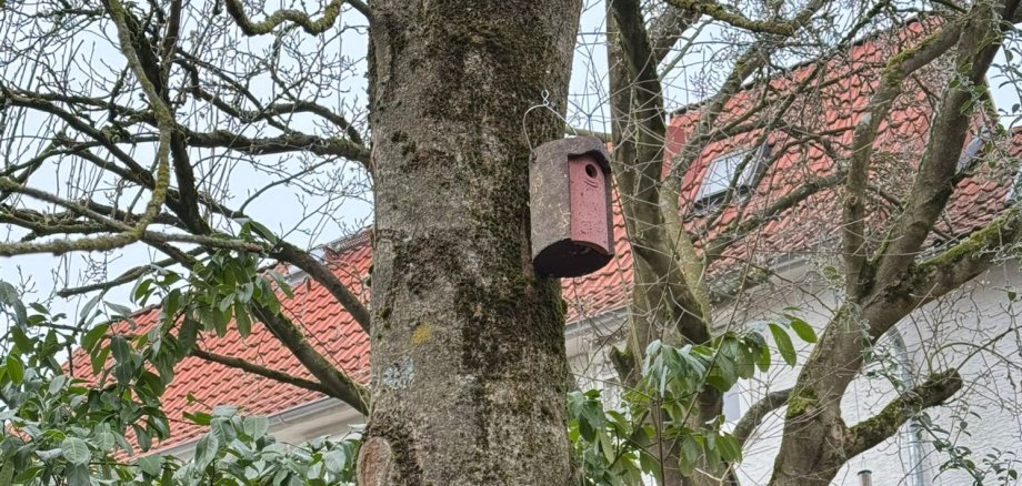 Nistkasten