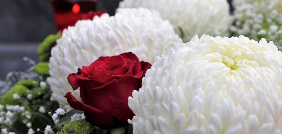 Blumen, rote Rose und weiße Chrysantheme