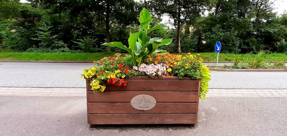Blumenkasten mit sommerlicher Bepflanzung